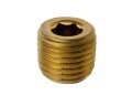 DA7001 1/8-27 NPT PLUG